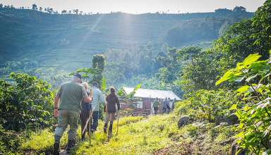 hiking into the Bwindi Impenetrable National Park