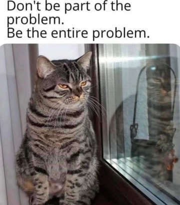 Cat are the main troublemakers